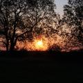 Coucher de soleil sur Grantchester Meadows
