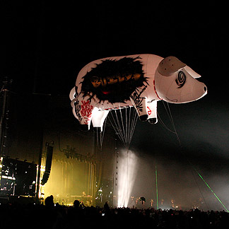 Le cochon pendant le concert de Coachella
