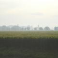 Grantchester Meadows sous le brouillard