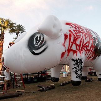 Le cochon avant le concert de Roger Waters à Coachella en 2008
