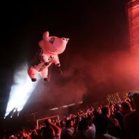Le cochon lors du concert de Roger Waters à Coachella en 2008